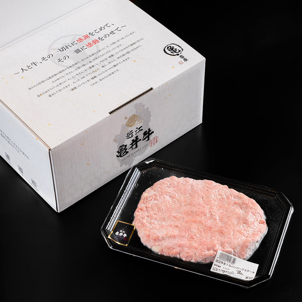 Bigハンバーグステーキ（250g）